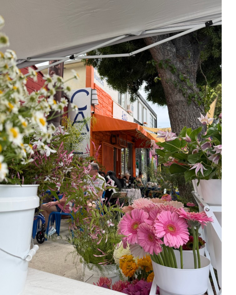 Second Sunday's at Little Miss Cafe
